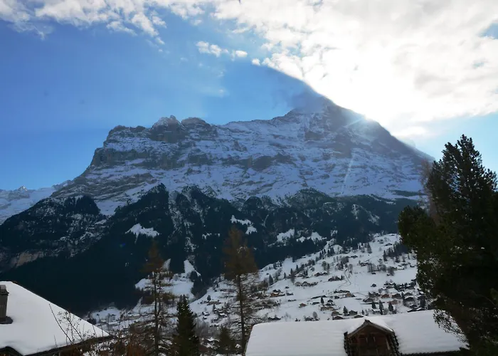 Apartment Delta - Griwa Rent Ag Apartment